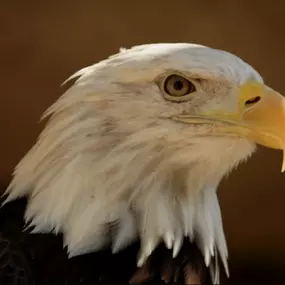 Zoologická zahrada Liberec, p.o.