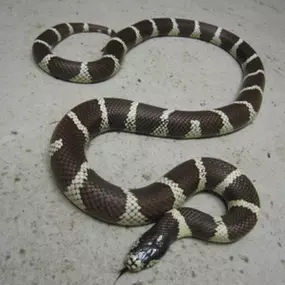 Zoologická zahrada Liberec, p.o.