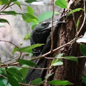 Zoologická zahrada Liberec, p.o.
