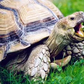 Zoologická zahrada Liberec, p.o.