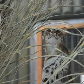 Zoologická zahrada Liberec, p.o.