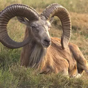 Zoologická zahrada Liberec, p.o.