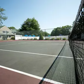 Pickleball Court