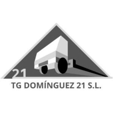 Logotipo de T&G DOMINGUEZ 21 S.L.