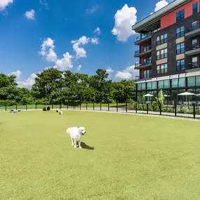 Bild von Modera Riverview