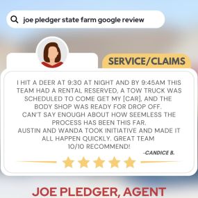 Joe Pledger - State Farm Insurance Agency Review