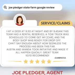 Joe Pledger - State Farm Insurance Agency Review