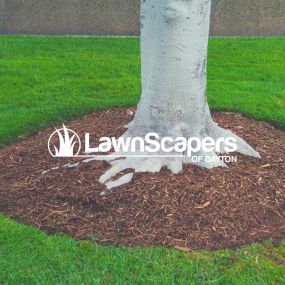 Bild von LawnScapers of Dayton