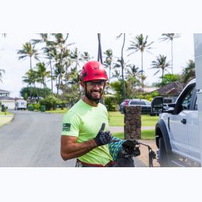 On a sunny day in Oahu, Hawaii, a tree service professional removes dead branches from a tree, improving its overall health.