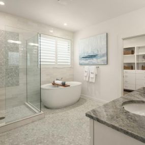 Luxe 5-piece primary bathroom shown with a free-standing tub and frameless glass shower enclosure