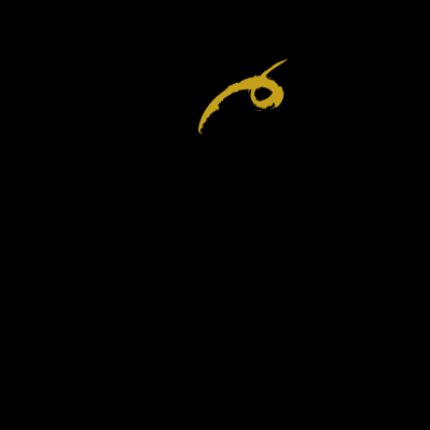 Logo da Anzivino - Viticoltori con Camere