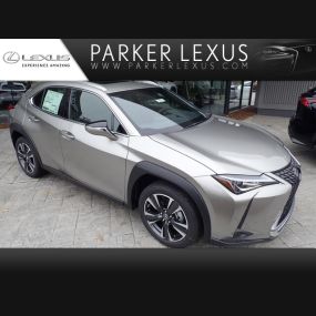 Bild von Parker Lexus