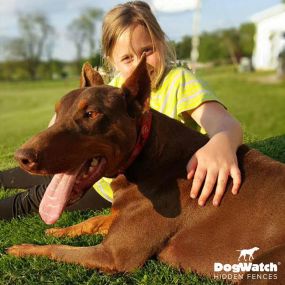Bild von DogWatch by Top Dog Pet Fence