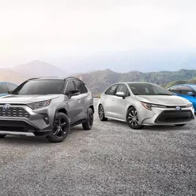 Bild von Rusty Wallace Toyota