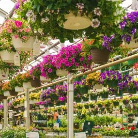 Bild von Mahoney's Garden Center - Winchester