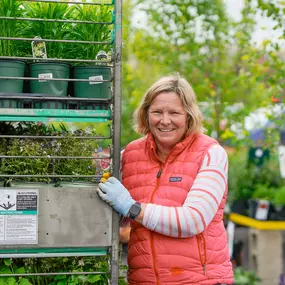 Bild von Mahoney's Garden Center - Concord