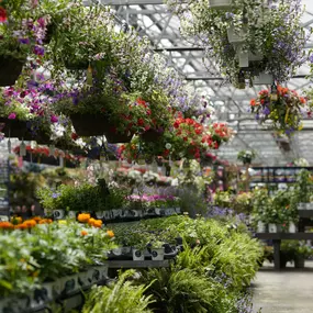 Bild von Mahoney's Garden Center - East Falmouth