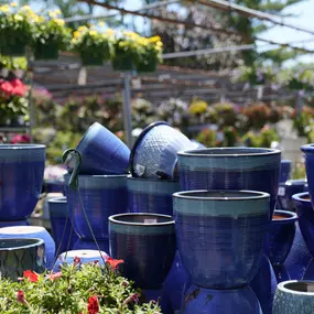 Bild von Mahoney's Garden Center - Osterville