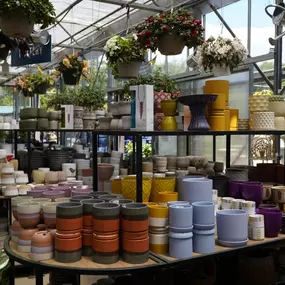 Bild von Mahoney's Garden Center