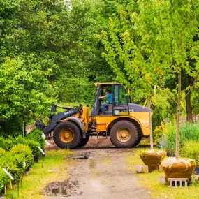 Bild von Mahoney's Garden Center - Chelmsford