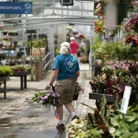 Bild von Mahoney's Garden Center - Tewksbury