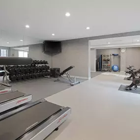 Health club  fitness center  gym