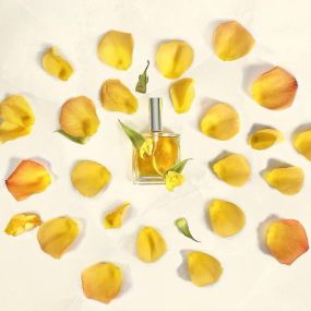 Bild von Le Studio des Parfums - Parfum sur mesure - Atelier de création - Parfum disparu