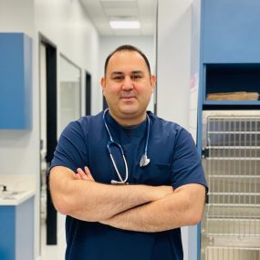 Dr. Sam Amirshahi | Bliss Animal Hospital