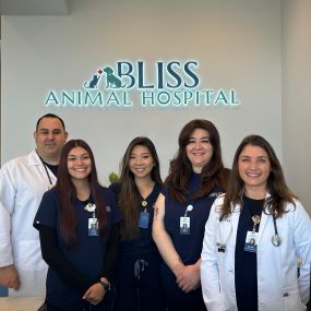 Bild von Bliss Animal Hospital