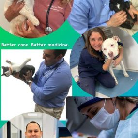 Bliss Animal Hospital | Doctors | Veterinarian