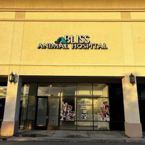 storefront facade bliss animal hospital