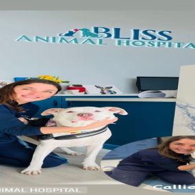 Bild von Bliss Animal Hospital