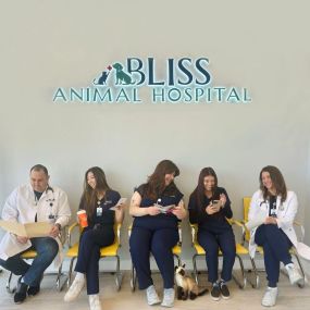 Bild von Bliss Animal Hospital