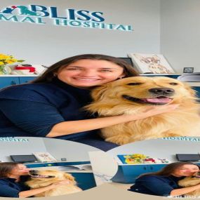 Bild von Bliss Animal Hospital