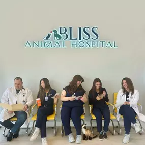 Bild von Bliss Animal Hospital