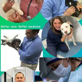 Bliss Animal Hospital | Doctors | Veterinarian