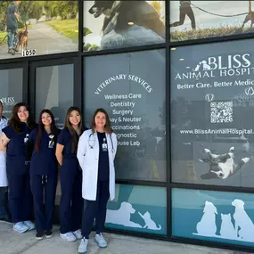 Bild von Bliss Animal Hospital