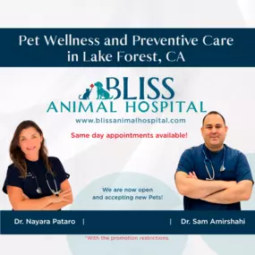 Bild von Bliss Animal Hospital