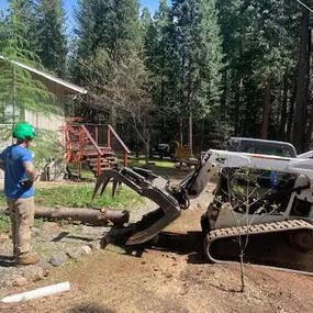 Bild von Rubini Tree Service