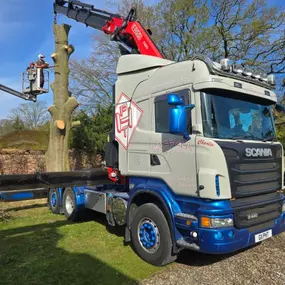 Bild von Hassall Transport