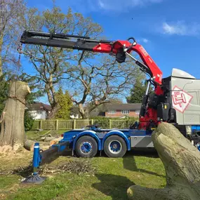 Bild von Hassall Transport