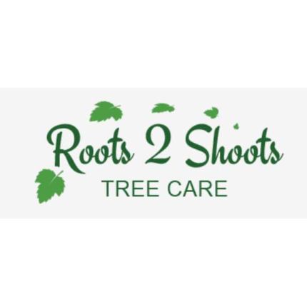 Logótipo de Roots 2 Shoots Tree Care