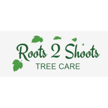 Logotipo de Roots 2 Shoots Tree Care