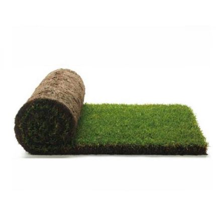 Logo fra Quality Turf Suppliers