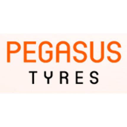 Logo from Pegasus Tyres