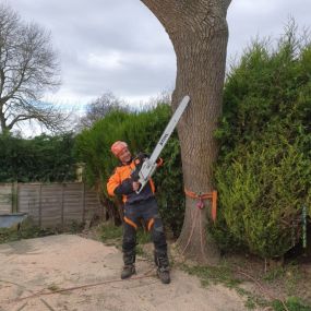 Bild von EW Tree Services