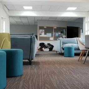 Bild von Ammonite Flooring