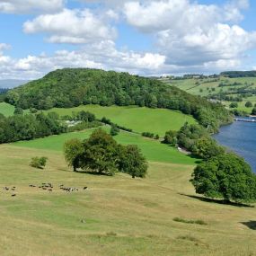 Bild von Waterfoot Caravan Park