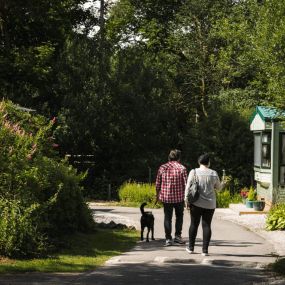 Bild von Newby Bridge Caravan Park