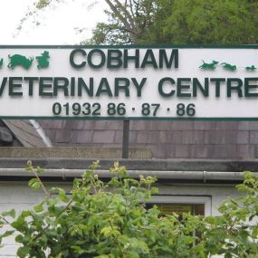 Bild von Cobham Veterinary Centre